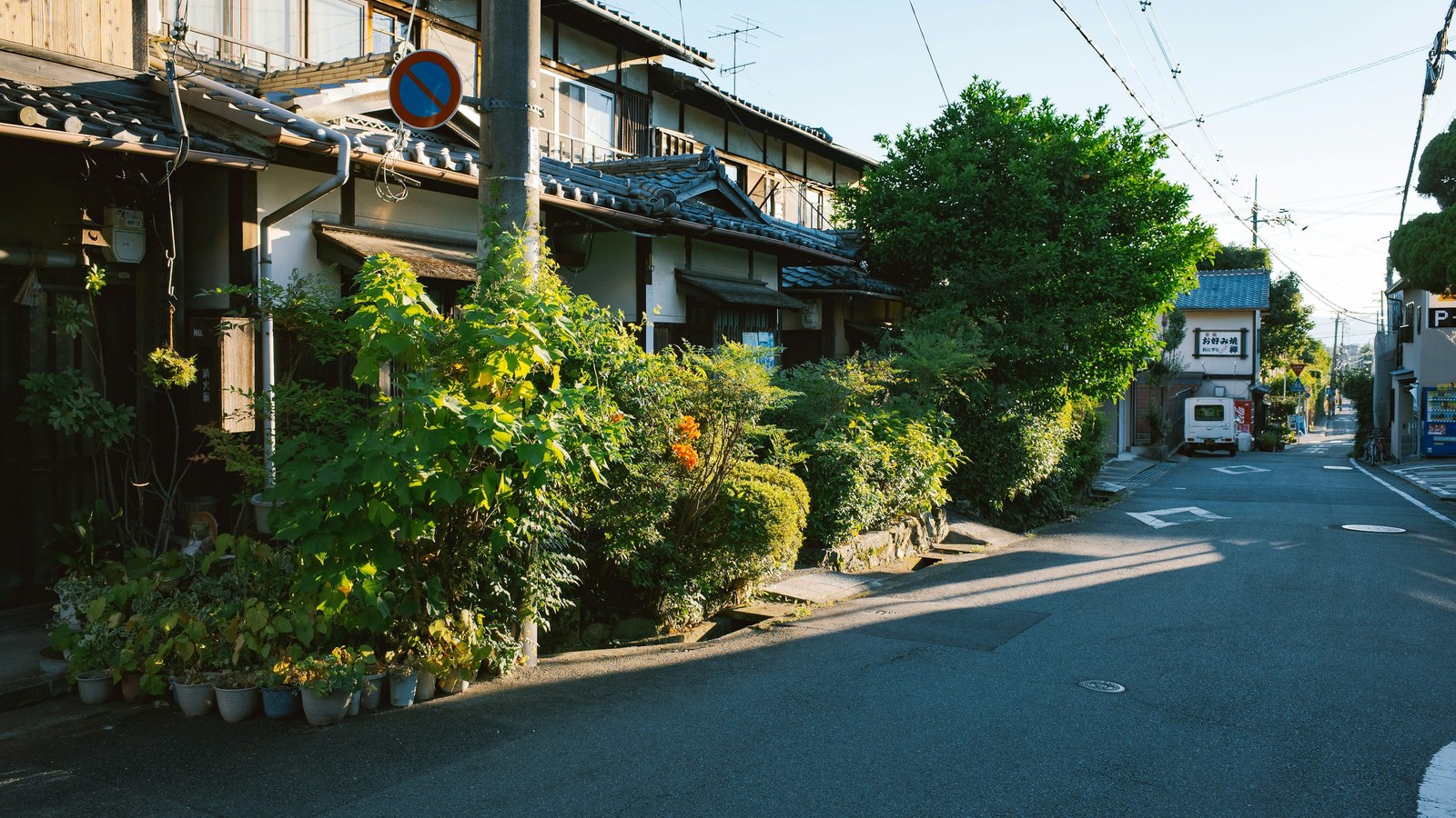 富田林市の住宅街を連想させる緑のある街並み