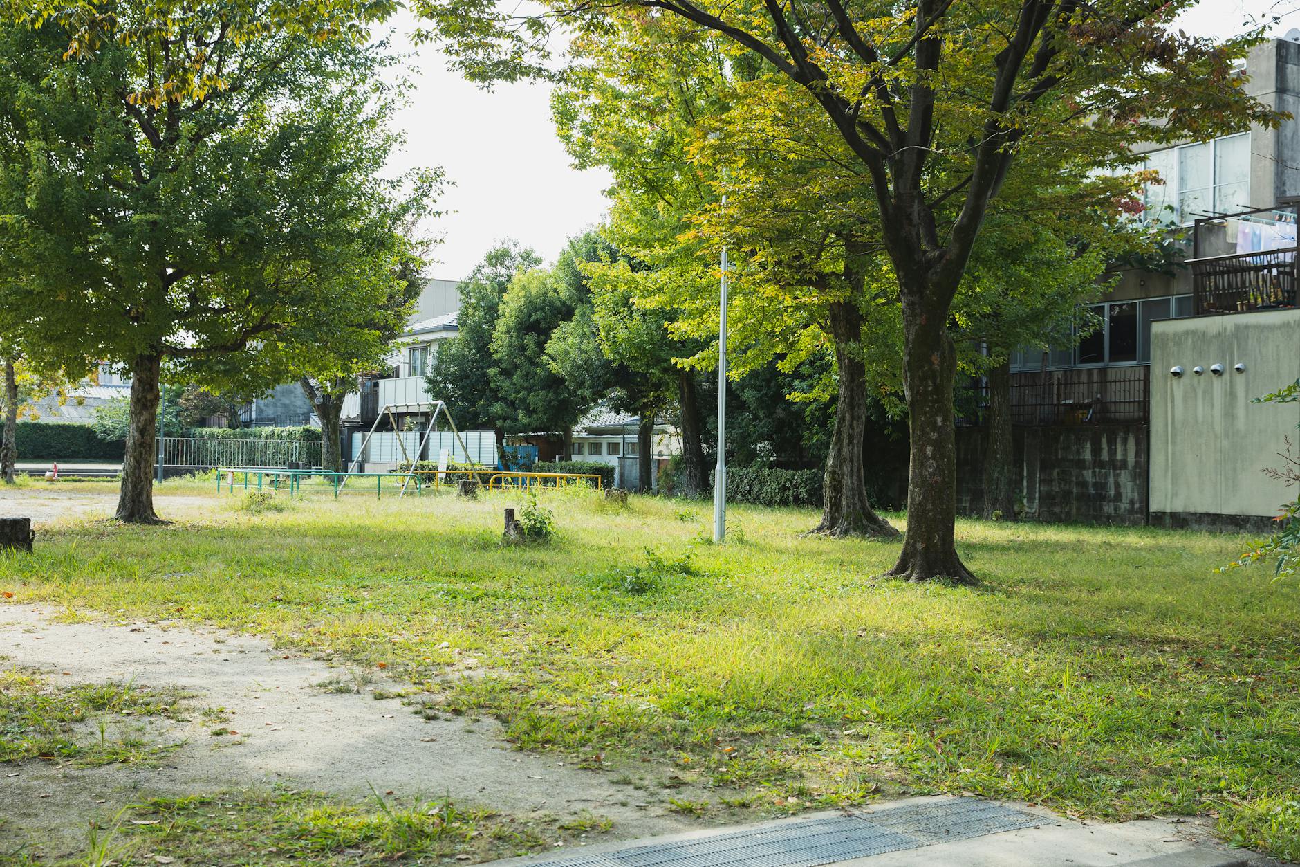 羽曳野市 公園