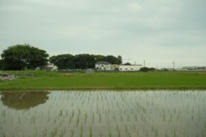 ブログイメージ