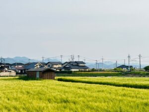 ブログイメージ
